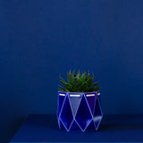 11cm Self-watering POTR Pot