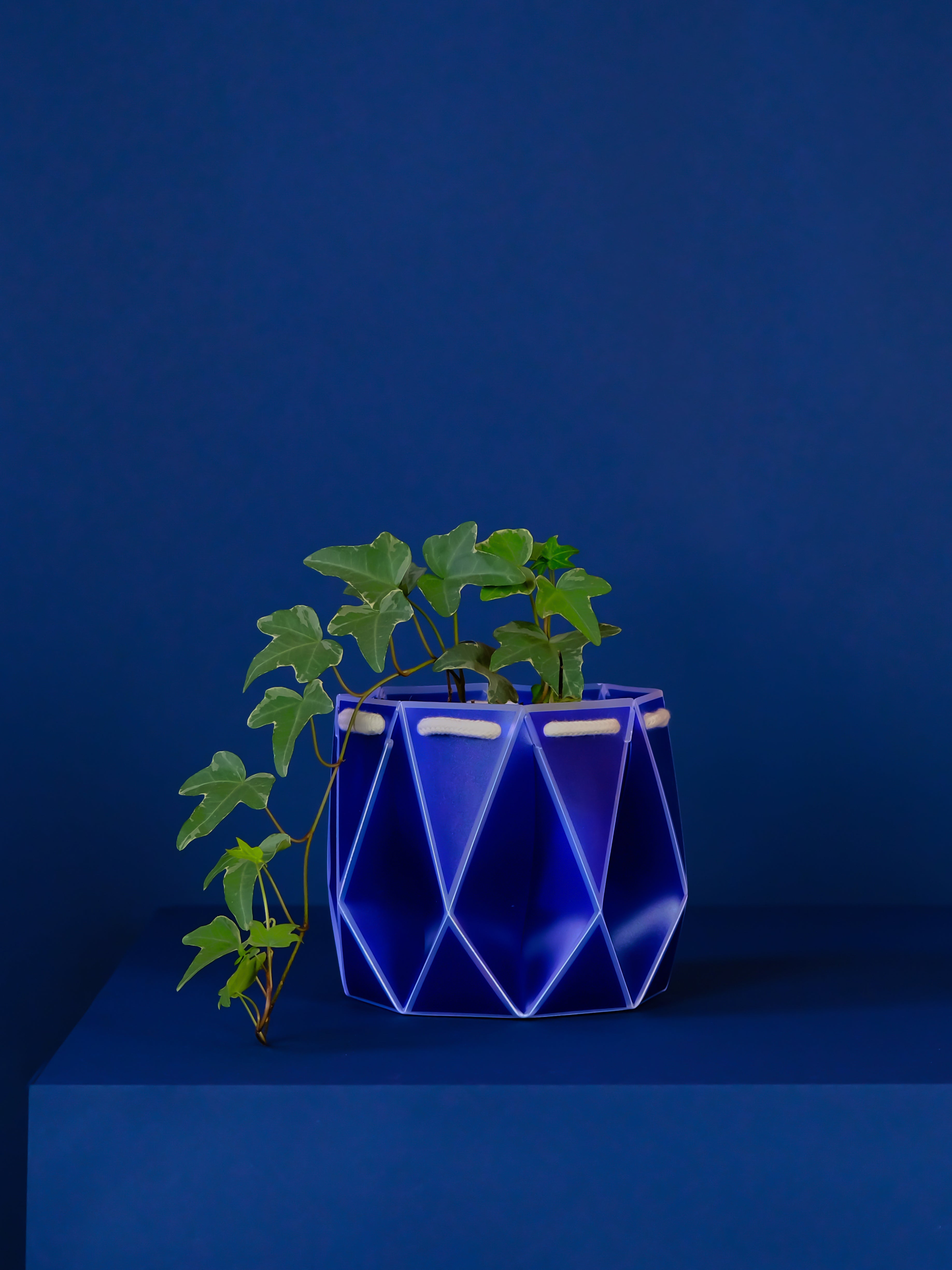 15cm Self-watering POTR Pot
