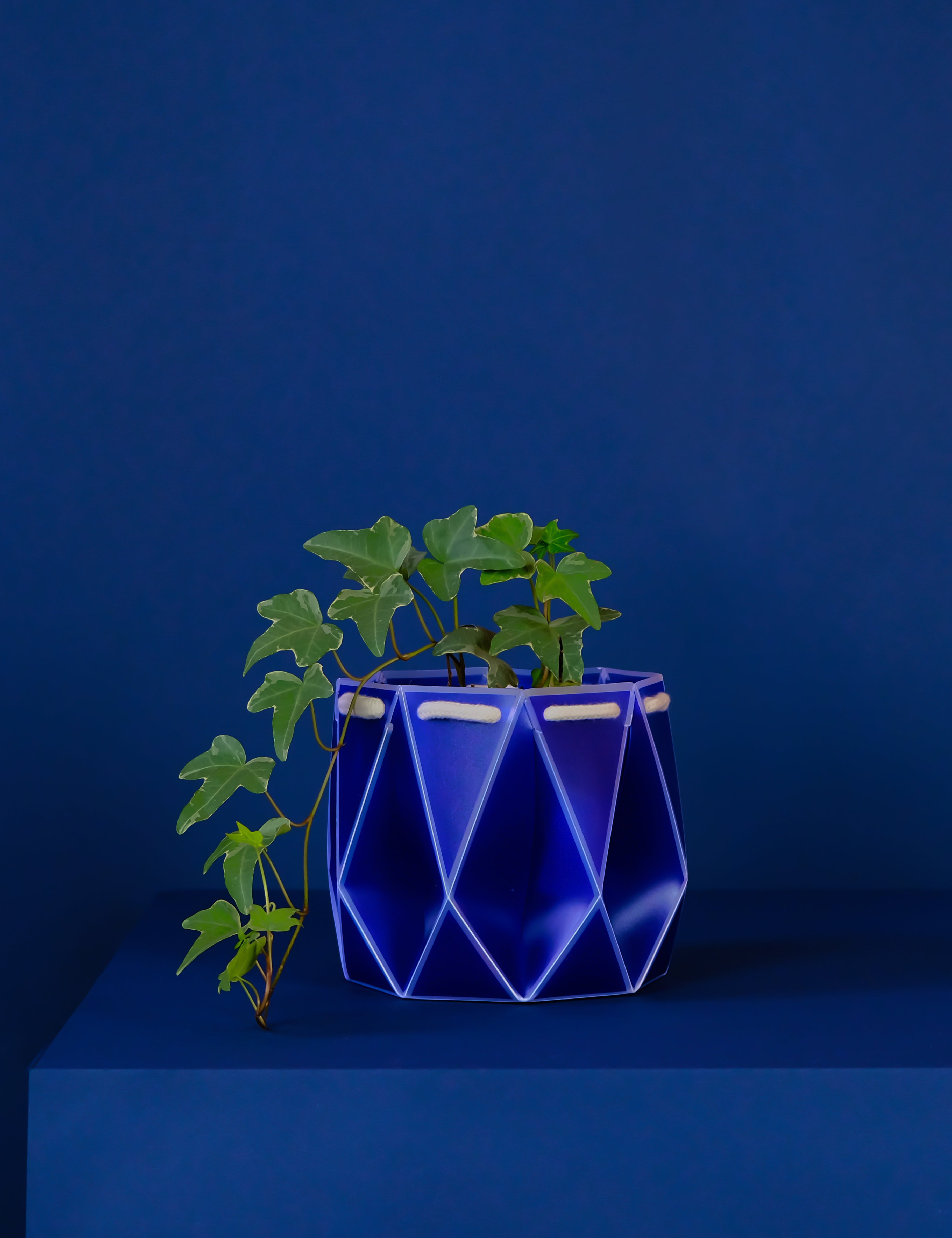 15cm Self-watering POTR Pot