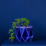 15cm Self-watering POTR Pot | Navy