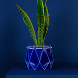 18cm POTR DUO | Self-watering Planters