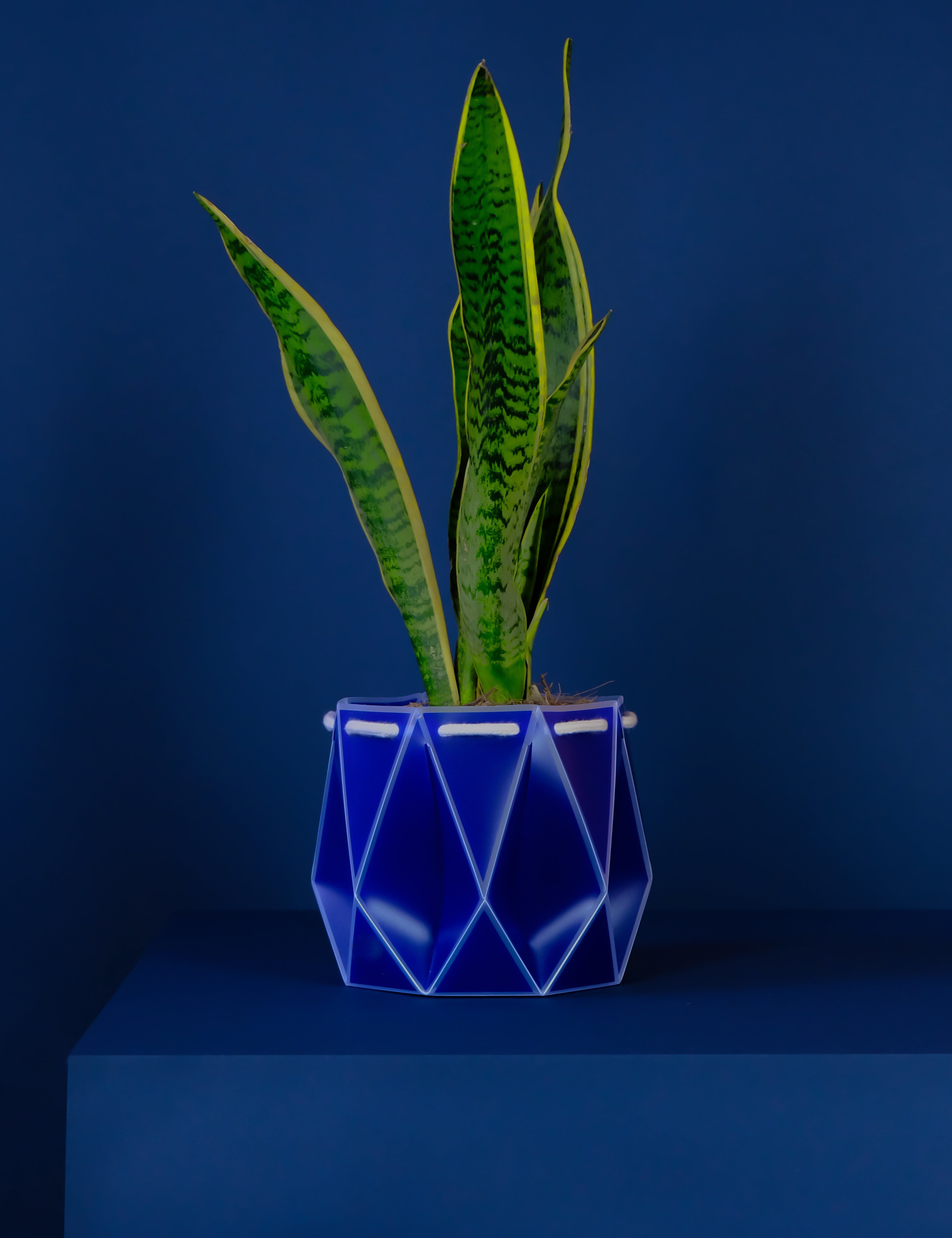 18cm POTR DUO | Self-watering Planters