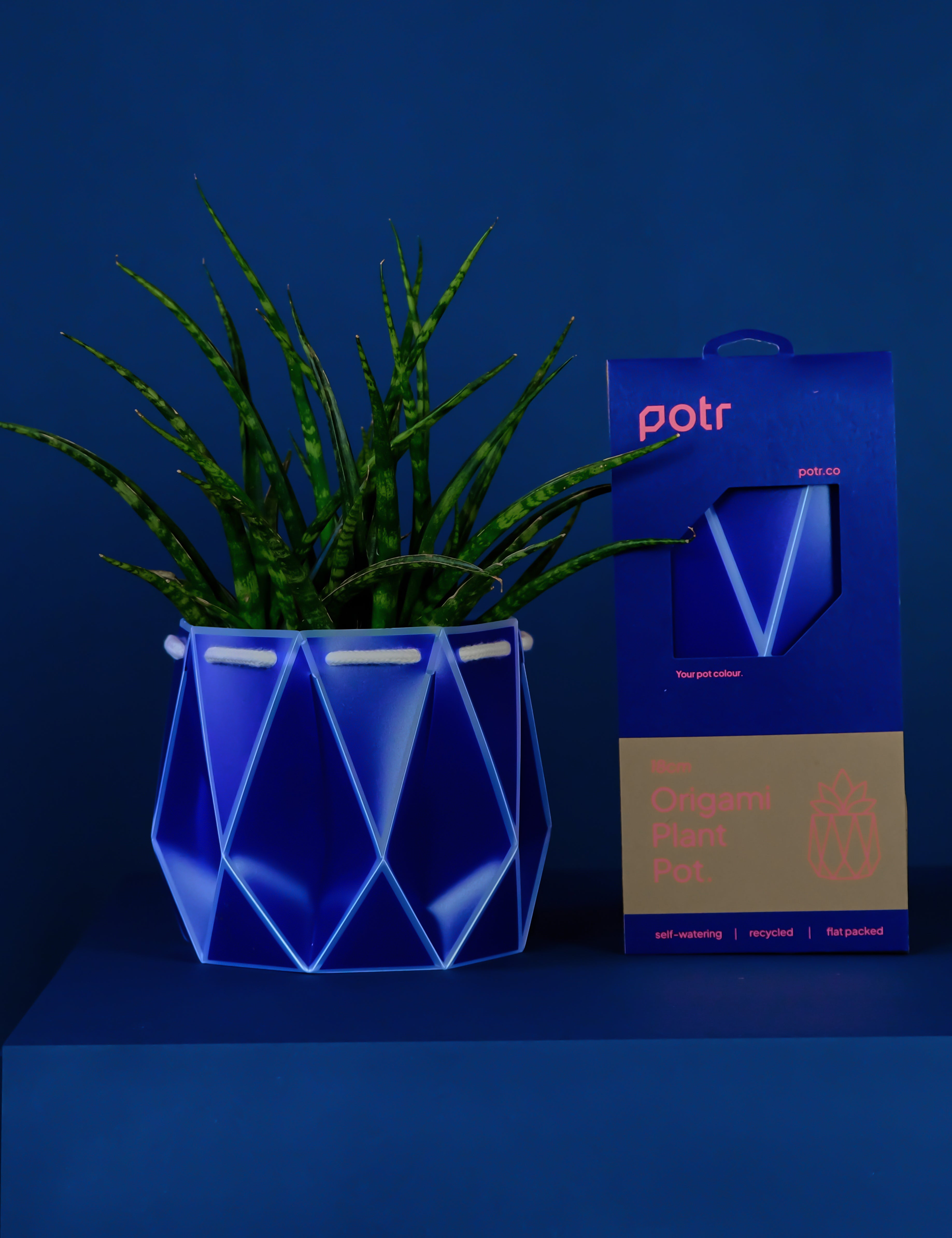 18cm Self-watering POTR Pot