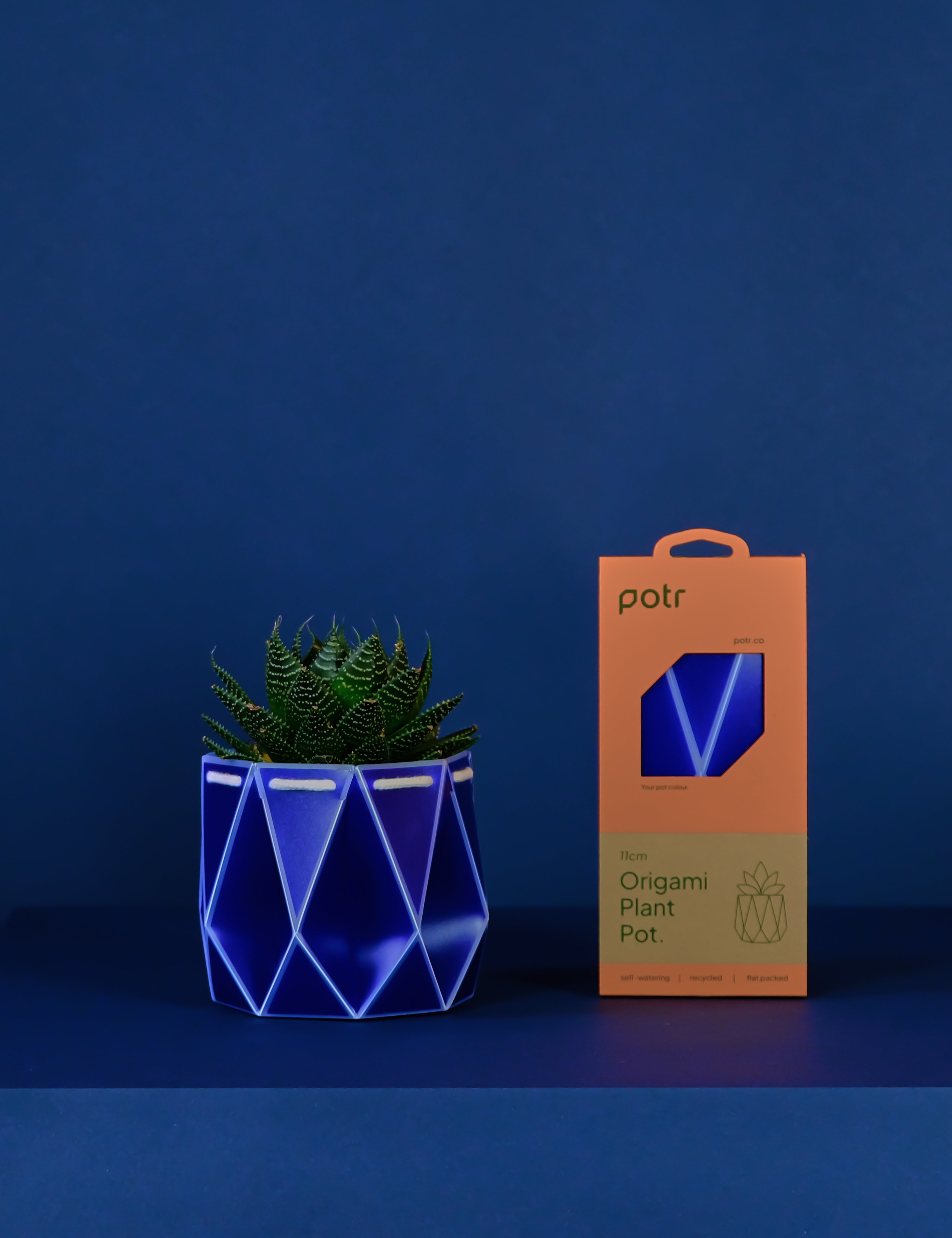 11cm Self-watering POTR Pot