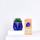 POTR Family | Self-watering Origami Planters