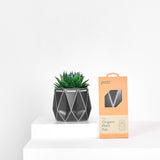 11cm Self-watering POTR Pot