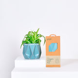 11cm Self-watering POTR Pot | Aqua