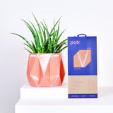 18cm Self-watering POTR Pot | Coral