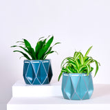 11cm Self-watering POTR Pot | Aqua