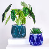 11cm POTR | 15cm POTR - Self-watering Planters