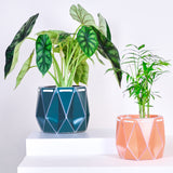 11cm POTR | 15cm POTR - Self-watering Planters