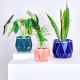 POTR Family | Self-watering Origami Planters