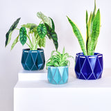 POTR Family | Self-watering Origami Planters