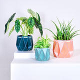POTR Family | Self-watering Origami Planters