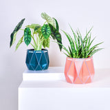 15cm POTR | 18cm POTR - Self-watering Planters