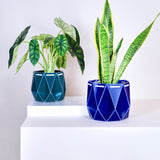15cm POTR | 18cm POTR - Self-watering Planters
