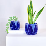 15cm POTR | 18cm POTR - Self-watering Planters