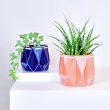15cm POTR | 18cm POTR - Self-watering Planters