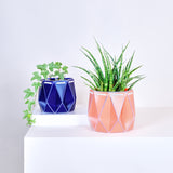 11cm POTR | 15cm POTR - Self-watering Planters