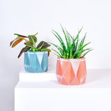 15cm POTR | 18cm POTR - Self-watering Planters