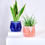 18cm POTR DUO | Self-watering Planters