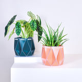 18cm Self-watering POTR Pot | Coral