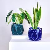 18cm POTR DUO | Self-watering Planters