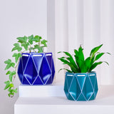 11cm POTR | 15cm POTR - Self-watering Planters