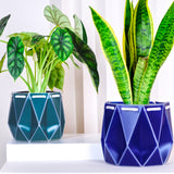 15cm POTR | 18cm POTR - Self-watering Planters