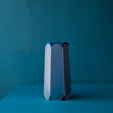 POTR Letterbox Vase | Trio