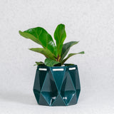 11cm Self-watering Ocean Pot | Deep Green