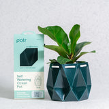 11cm Self-watering Ocean Pot | Deep Green