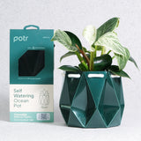15cm Self-watering Ocean Pot | Deep Green