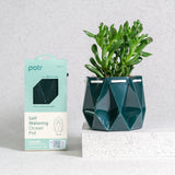 11cm Self-watering Ocean Pot | Deep Green