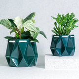 15cm Self-watering Ocean Pot | Deep Green