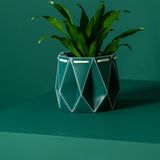 11cm Self-watering POTR Pot