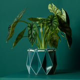 15cm Self-watering POTR Pot | Dark Teal