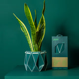 POTR Family | Self-watering Origami Planters