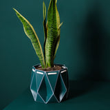 15cm Self-watering POTR Pot | Dark Teal
