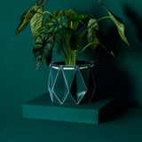 15cm Self-watering POTR Pot | Dark Teal