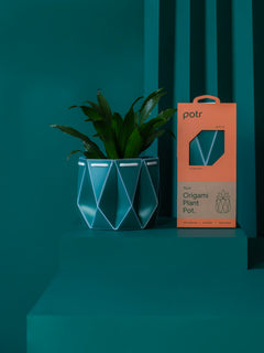 11cm Self-watering POTR Pot