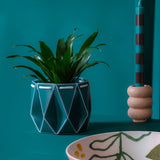 11cm POTR | 15cm POTR - Self-watering Planters