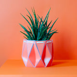 18cm POTR DUO | Self-watering Planters