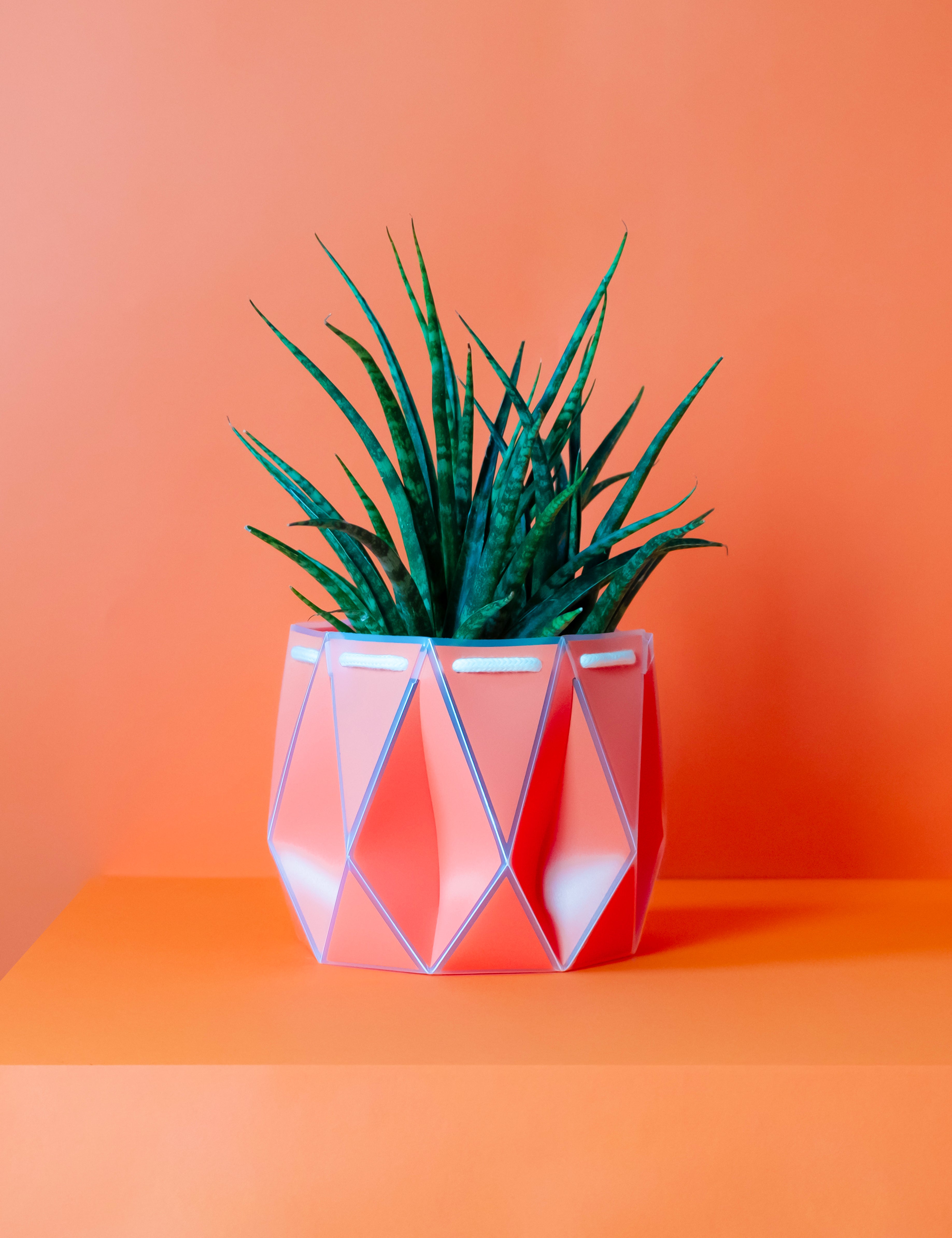 18cm POTR DUO | Self-watering Planters