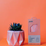 11cm Self-watering POTR Pot