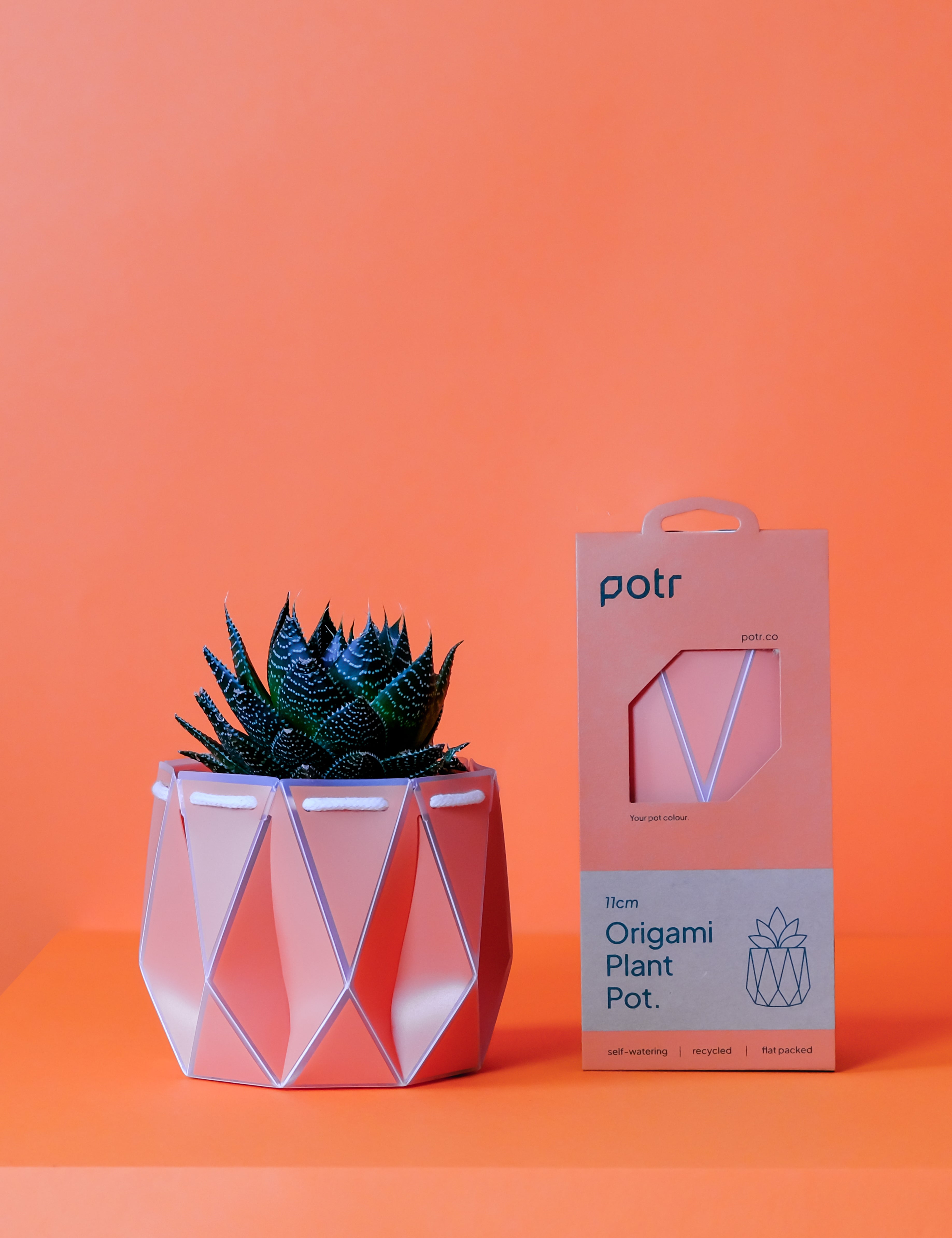 11cm Self-watering POTR Pot