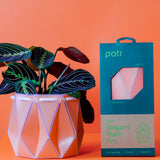 15cm Self-watering POTR Pot | Coral