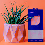 18cm Self-watering POTR Pot | Coral