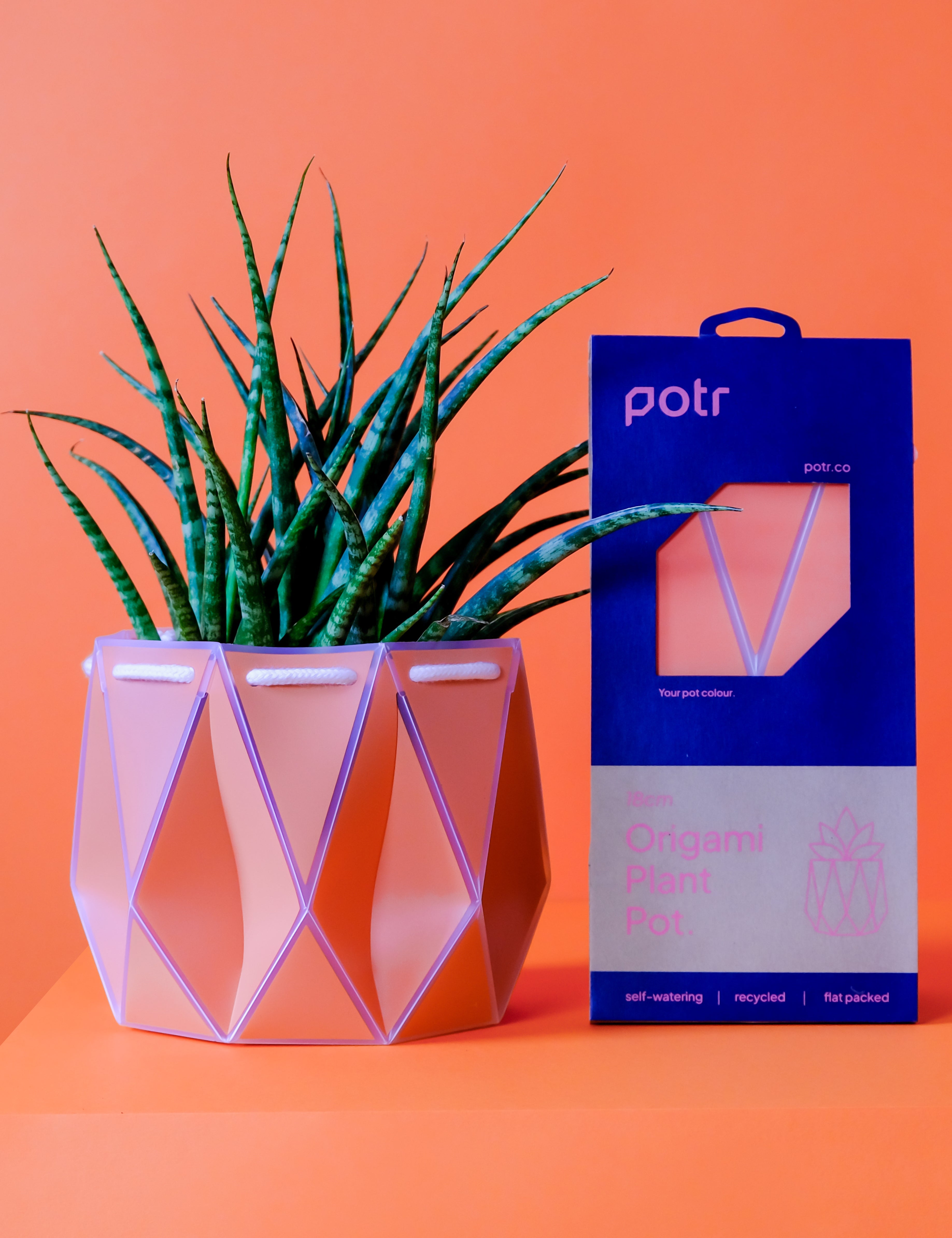 18cm Self-watering POTR Pot
