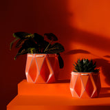 15cm Self-watering POTR Pot | Coral